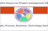 Program & project management (pmo)