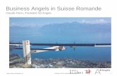 Business Angels in Switzerland