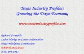 Texas Industry Profiles 2004 Overview