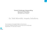 Grand challenges responding research priorities: Remarks from Finland