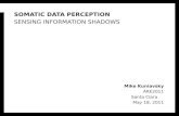 Somatic Data Perception: Sensing Information Shadows