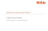 Business plan presentation template