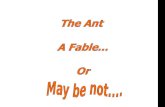 The Story Of The Ant Retold In A Corporate Environment