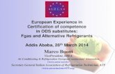 AREA UNEP ADDIS   European certification of competence in Fgas and Alternative Refrigerants
