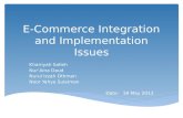 E-Commerce Integration and Implementation Issues