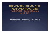 Tibia plateu, shaft, and plafond fractures 2012