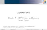 Abap course   chapter 7 abap objects and bsp