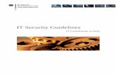 IT Security - Guidelines