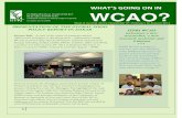IFPRI WCAO Newsletter1