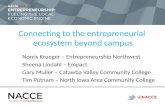 Connecting to the entrepreneurial ecosystem beyond campus, NACCE 2013