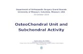 Subchondral Events and Treatment