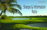 Sharpe Ratio & Information Ratio