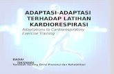 Adaptations to cardiorespiratory exercise training
