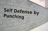 Self Defense by Punching