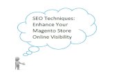 SEO Techniques : Enhance your Magento Store Online Visibility
