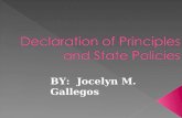 Decleration of principles state policies