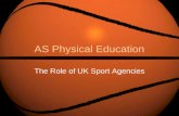 AS PE - The Role of UK Agencies
