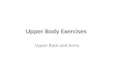 Upper Body Exercises Upper Arm Back