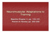 Neuromuscular adaptations to training