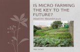 Is micro-farming the key to the future?: Abalimi Bezekhaya