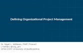 Defining organizational project management 2012