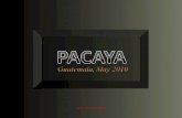Pacaya, Guatemala [in english] (por: carlitosrangel)