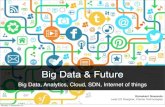 Big Data & Future - Big Data, Analytics, Cloud, SDN, Internet of things