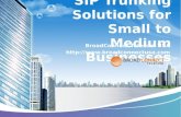 SIP Trunking Solutions for Small to Medium Businesses from BroadConnect Telecom USA