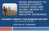 Micro insurance to address climate change risks feb'13