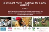 East Coast fever—Outlook for a new vaccine