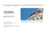 Energy Storage Procurement in California - APR2014