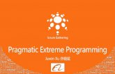 Pragmatic extreme programming