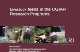 Livestock feeds in the CGIAR Research Programs