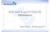 Java 8 Launch - MetaSpaces