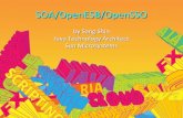 SOA/OpenESB/OpenSSO SOA/OpenESB/OpenSSO