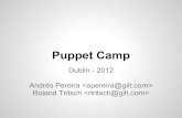 Building a continuous delivery platform for the biggest spike in e-commerce - Puppet Camp Dublin '12
