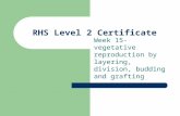RHS Level 2 Certificate Year 1 Week 15 overview