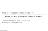 Open Source, Free Software and Intellectual Property