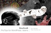 DevCraft: ProTips for WordPress Teams