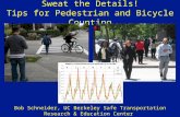 Session #7 - Pedestrian & Bicycle Counting Tips - Schneider