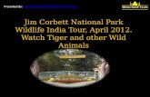 Jim Corbett National Park and Tiger Reserve India