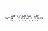 Paid Search And Paid Social: Birds Of A Feather Or Different Flock?
