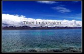 Tibet impression