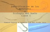 Identificación de los Nematodos y Ecología del Suelo Clase 1 Howard Ferris e Ignacio Cid del Prado Vera.