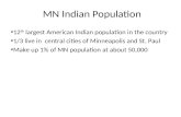 Mn Indian Population For Web