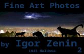 Igor Zenin 2