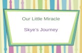 Skyes Journey - Battling Prematurity, Autism and Mitochondrial Disease