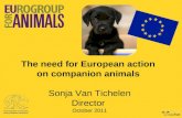 ICAWC 2011: Sonja Van Tichelen - European Protection for Animals