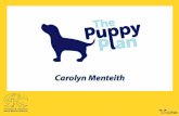 ICAWC 2012: Carolyn Menteith The Puppy Plan