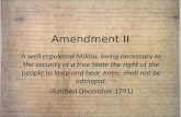 Us.2.Amendment Ii, Viii